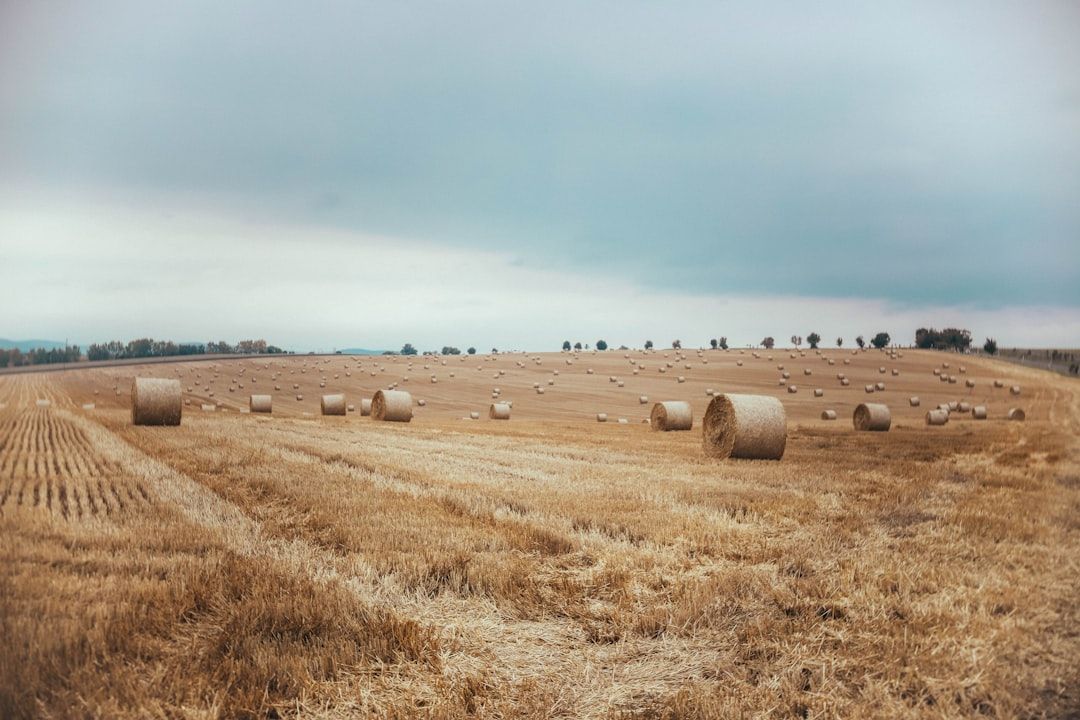 Hungary countryside nature landscape