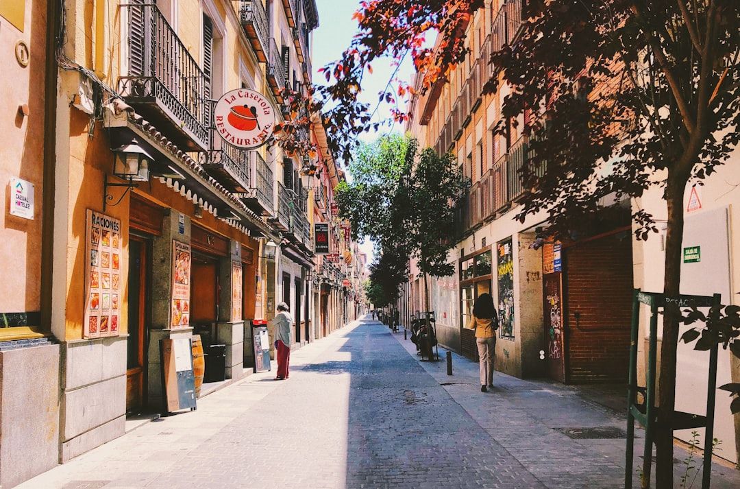 The cita previa problem in Madrid